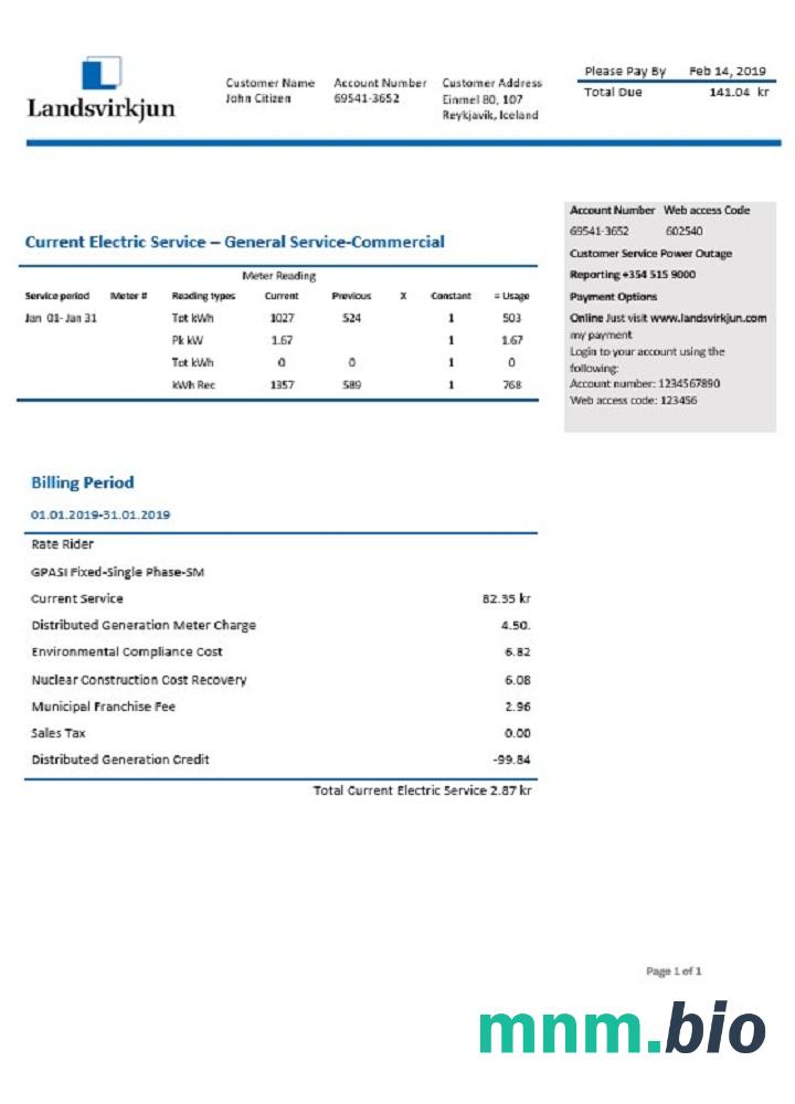 Iceland National Power Firma of Iceland Landsvirkjun elektryczność rachunek za media